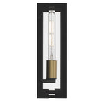 Young Wall Light