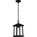 Satterfield Hanging Light