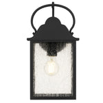 Damian Wall Light