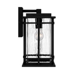 McAlister Wall Light