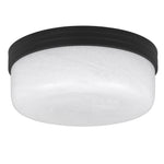 Langford Flush Mount