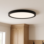 Outskirts Round Flush Mount