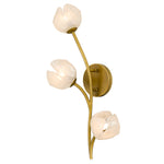 Walker Wall Sconce