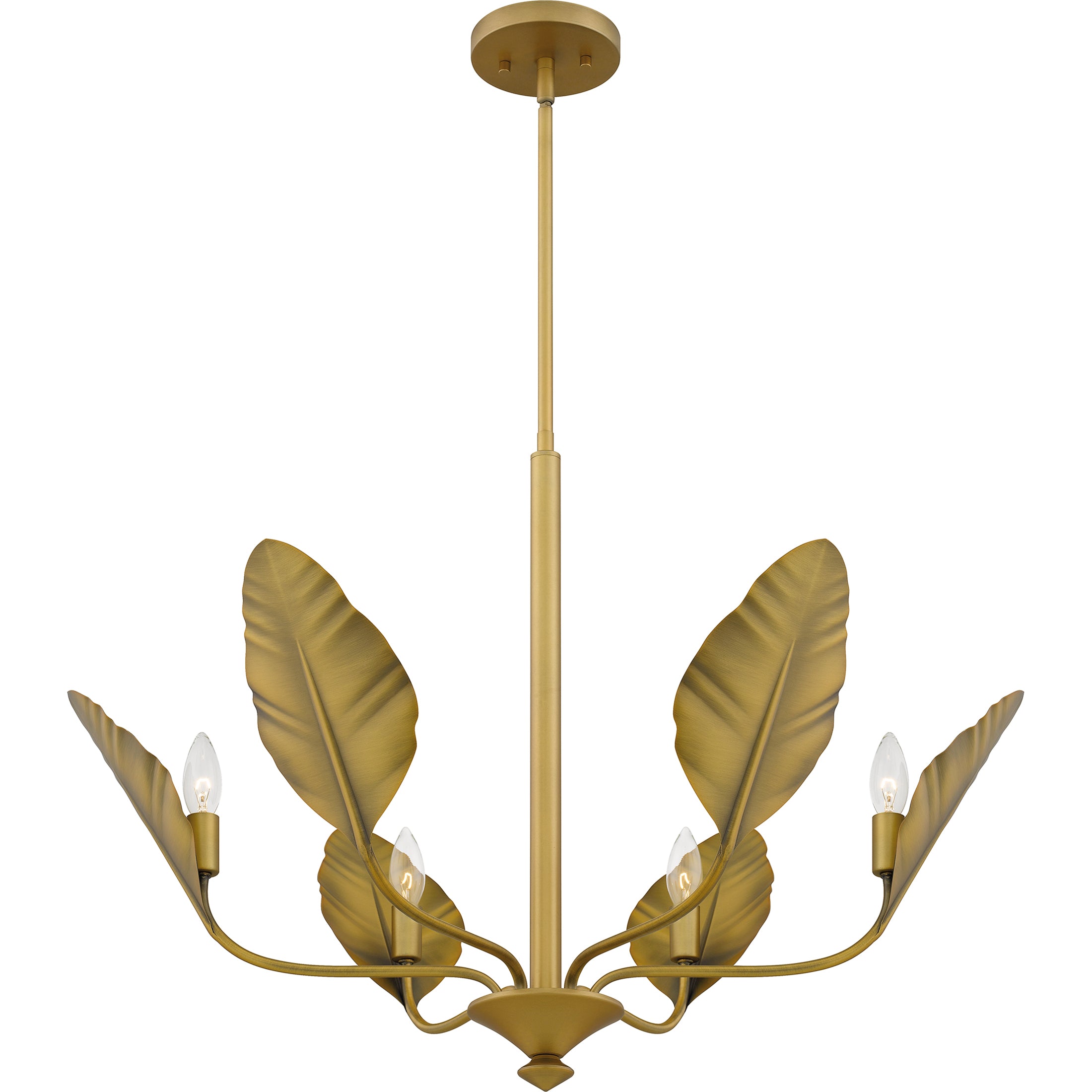 Bayley Chandelier