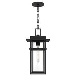 Morgan Hanging Light