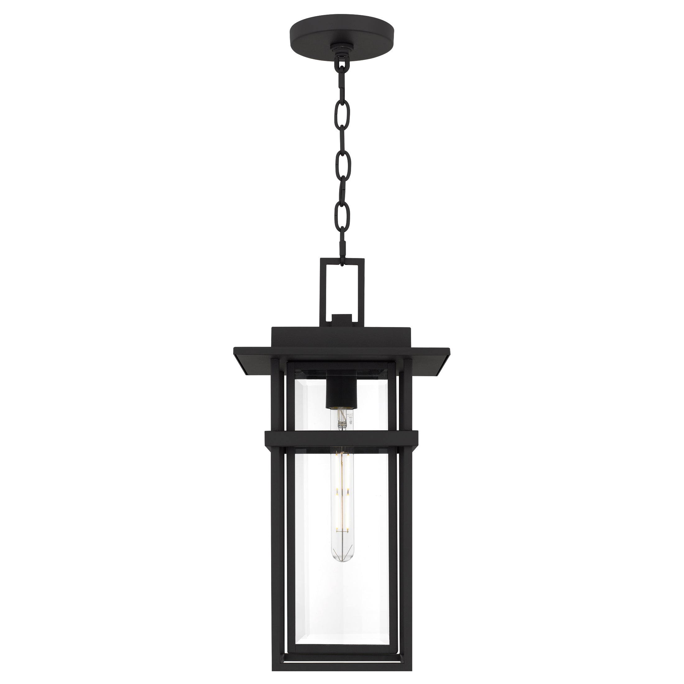 Morgan Hanging Light