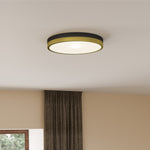 Weldin Flush Mount