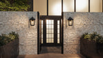 Darius Wall Light