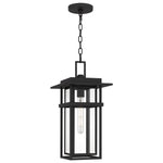 Morgan Hanging Light