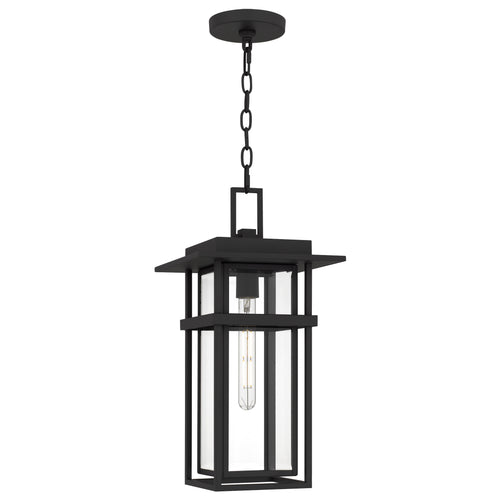 Morgan Hanging Light