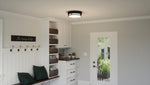 Hale Flush Mount
