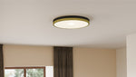 Weldin Flush Mount