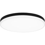 Weldin Flush Mount