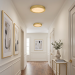 Outskirts Flush Mount CCT