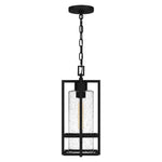 Damien Hanging Light