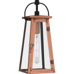 Carolina Hanging Light
