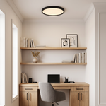 Outskirts Flush Mount CCT