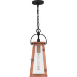Carolina Hanging Light