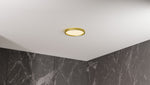 Outskirts Flush Mount CCT