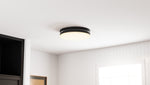 Carey Flush Mount