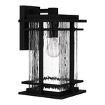 McAlister Wall Light