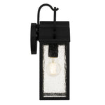 Damian Wall Light