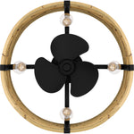 Lachlan Fan Light