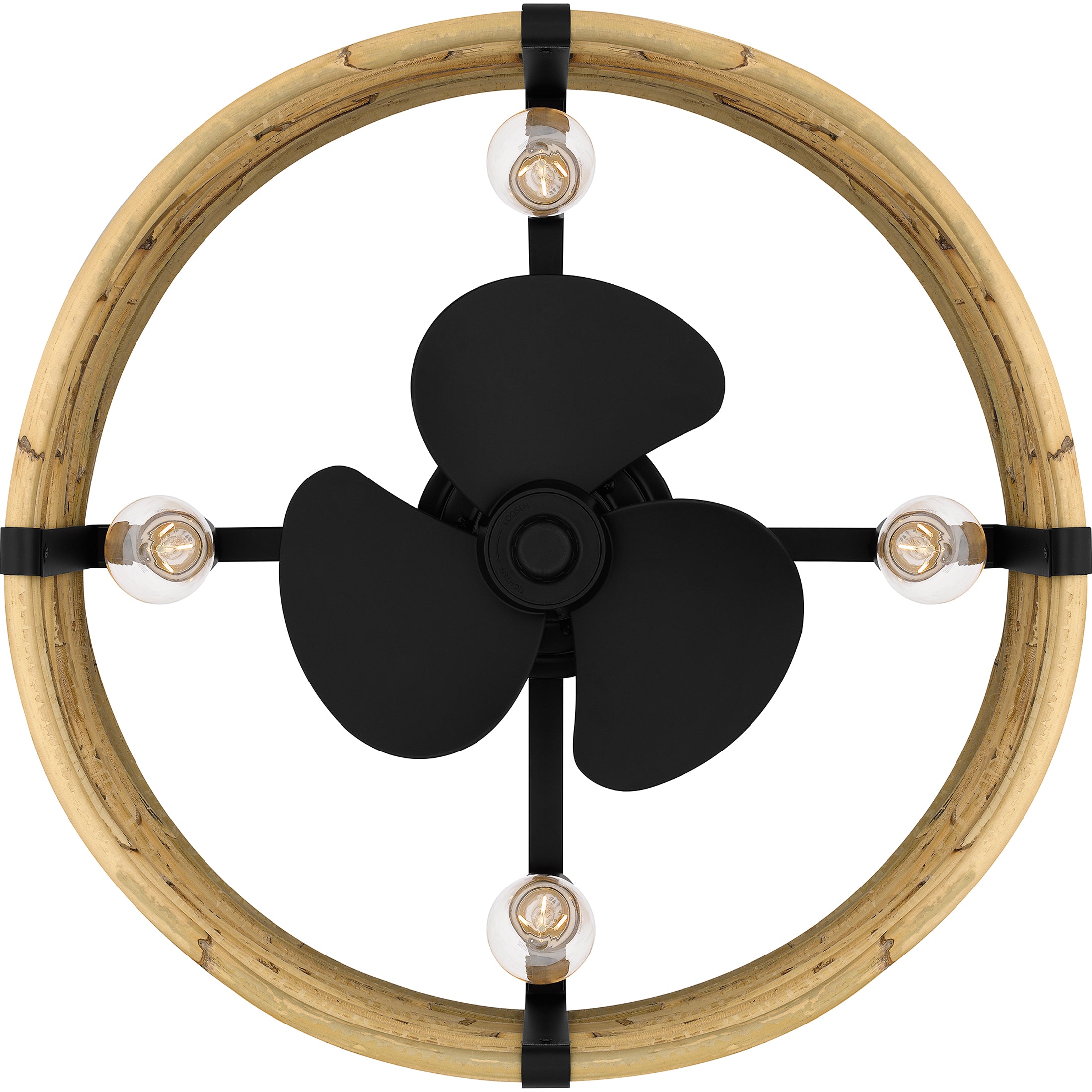 Lachlan Fan Light