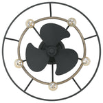 Brockton Fan Light