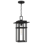 Morgan Hanging Light