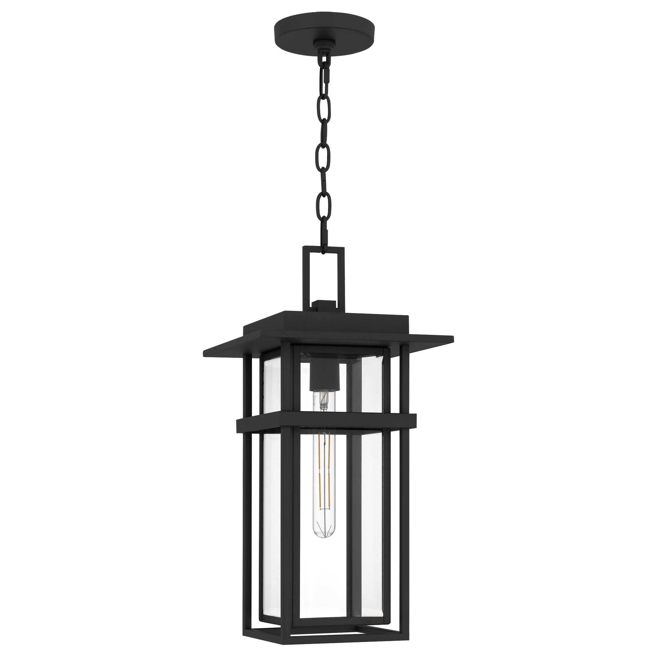 Morgan Hanging Light