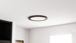Outskirts Flush Mount CCT