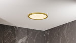 Outskirts Flush Mount CCT