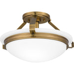 Elderwood Semi-Flush