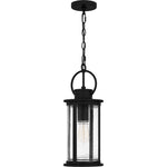 Tilmore Hanging Light