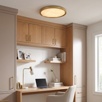 Outskirts Flush Mount CCT