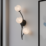 Walker Wall Sconce