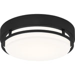 Hale Flush Mount
