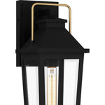 Buckley Wall Light