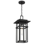 Morgan Hanging Light