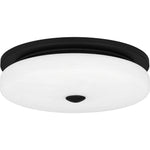 Tavani Flush Mount