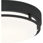 Hale Flush Mount