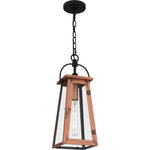 Carolina Hanging Light