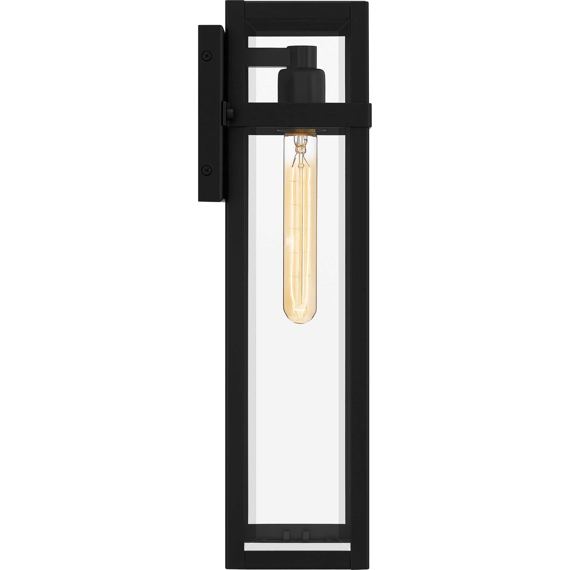 Vanessa Wall Light