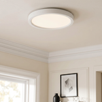 Outskirts Round Flush Mount
