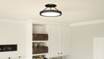 Outskirts Round Flush Mount