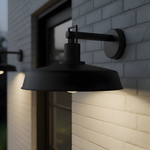 Karson Wall Light
