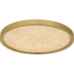 Outskirts Flush Mount CCT