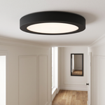 Outskirts Round Flush Mount