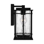 McAlister Wall Light